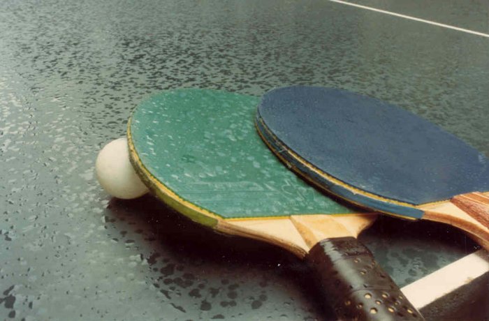 Ping Pong by Michael McCafferty